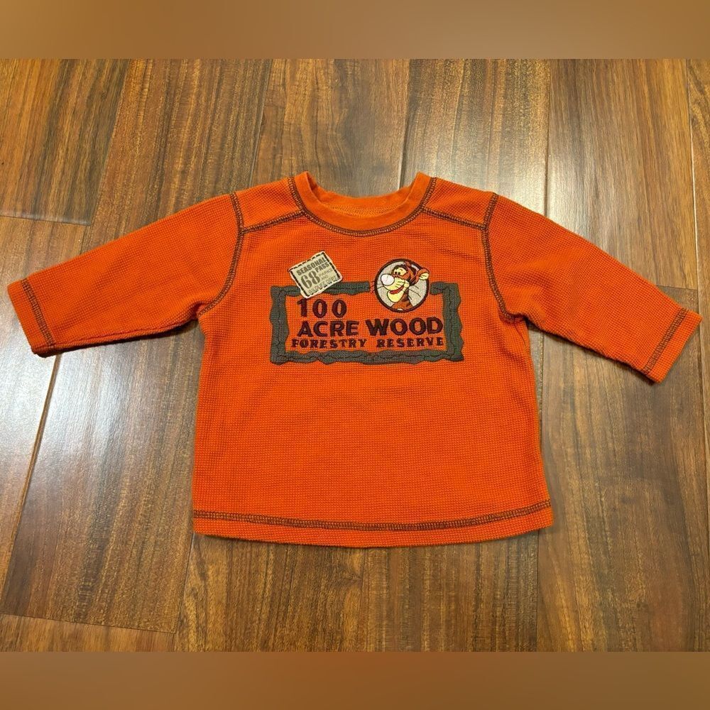 Disney Winnie the Pooh Tigger orange long sleeve tee shirt